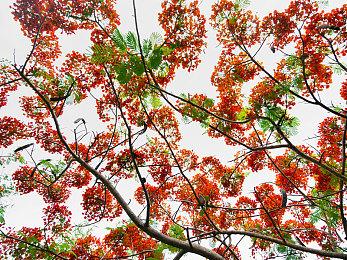 Xbox已可预载！？《龙腾世纪：恐狼》或发布在即